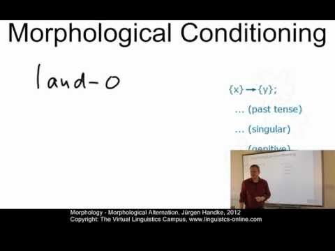 MOR106 - Morphological Alternation