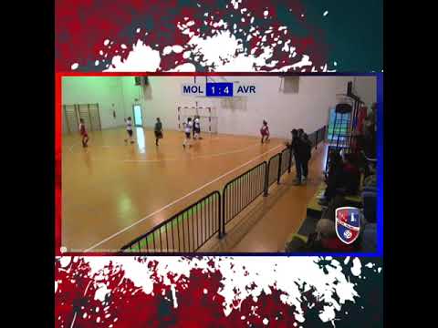 Futsal Molinella vs Audace C5 Verona 3-12, Coppa Italia U19 femminile nazionale, 20-11-2022