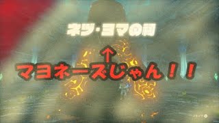 【2人実況】マヨネーズの祠でV〇嵐！？【ゼルダの伝説BotW】