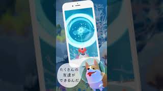 アビスリウム 034 Bo 縦 コーギー説明