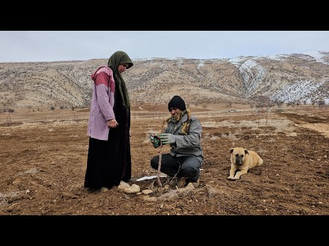 Life without electricity: How do we live in a mountain hut without amenities?