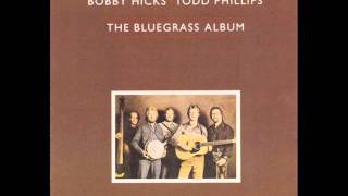 Bluegrass Album Band - Pain In My Heart