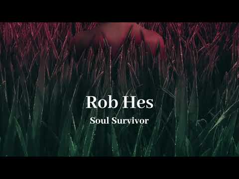 Rob Hes - Soul Survivor