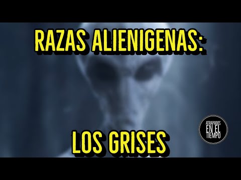 RAZAS EXTRATERRESTRES : LOS GRISES