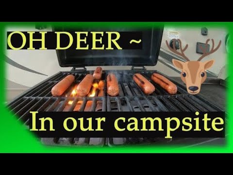 Horsetooth Reservoir Fort Collins, Colorado Day 1