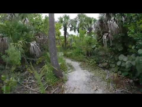 Riding one of the rental bikes exploring the wooded paths of Cayo Costa