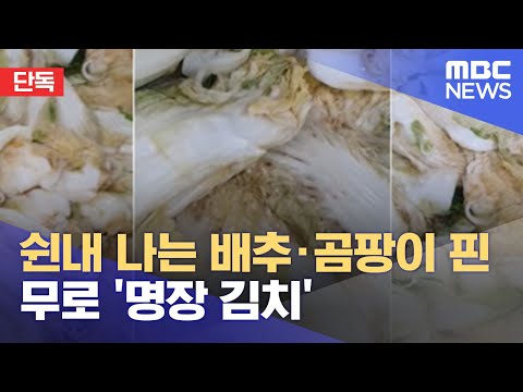 아이콘