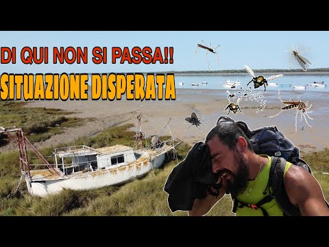 DESPERATE SITUATION, I AM CIRCUITED!!!! (PART 3)