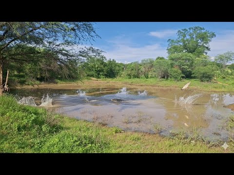 OLHA COMO FICOU O TANQUE DEPOIS DAS CHUVA MUNICÍPIO DE RIO DO PIRES BAHIA #bahia #nordeste #sertão