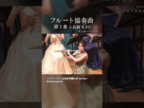 フルート協奏曲 第１番 ト長調 K.313