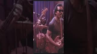 Blues Brothers - Stand By Your Man #bluesbrothers