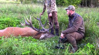 Jagd auf Elche und Rothirsche in Lettland