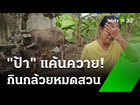 คลิกเพื่อดูคลิปวิดีโอ