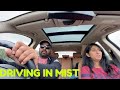 Driving In Mist MKT