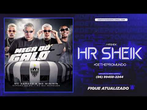 MEGA DO GALO 2 - GORDÃO DO PC , DJ GUI MARQUES , MC GAROTO E MC MINININ