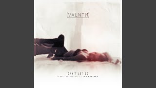 Can&#39;t Let Go (Sleeping Lion Remix)