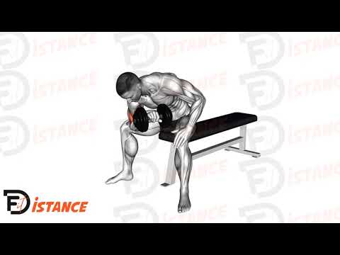 Curl concentré assis en prise pronation - Exercice Curl concentré assis en prise pronation en vidéo