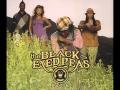 Black Eyed Peas Top 10 Songs of All-Time 