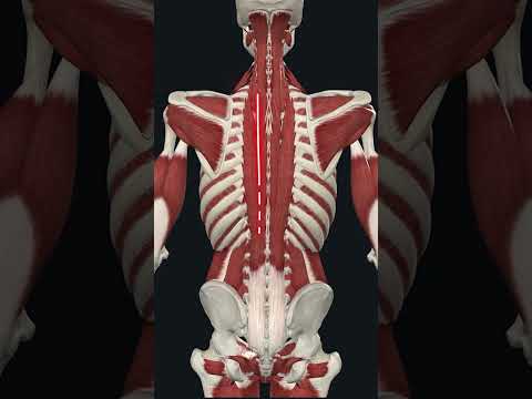 Back Massage Inspiration