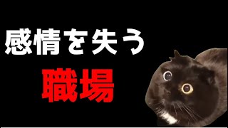 【猫ミーム】感情が●ぬのは仕方がない事なのだろうか？・・・葬儀社にアルバイトとして勤めていたお話まとめその11