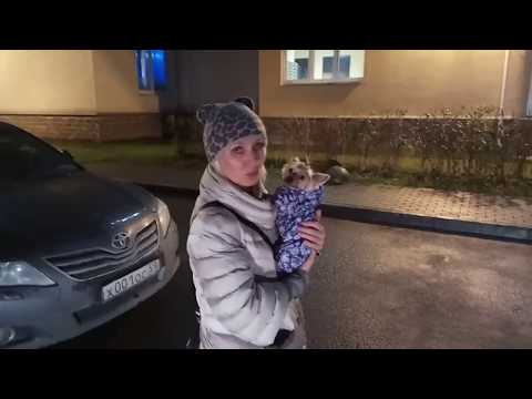 Конфликт из-за парковки в одном из дворов Санкт-Петербурга