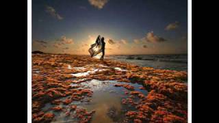 ATB Feat Aruna -  My Saving Grace [lyrics]