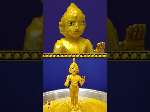 Harikrushna Maharaj | Kerina Rasna Abhishek Darshan