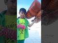 Eagle Kites Shorts Utrayan Eagal Kites Justparin4u
