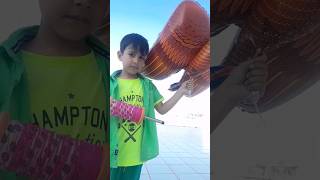 Eagle Kites #shorts #utrayan #eagal #kites @justparin4u