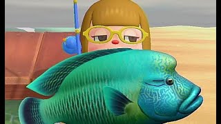 【あつ森】レア魚捕獲集  シーラカンス|マンボウ|ジンベエザメ|シュモクザメ|ナポレオンフィッシュ 【釣り】【あつまれどうぶつの森】