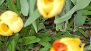 Got It Goin On   Boney James