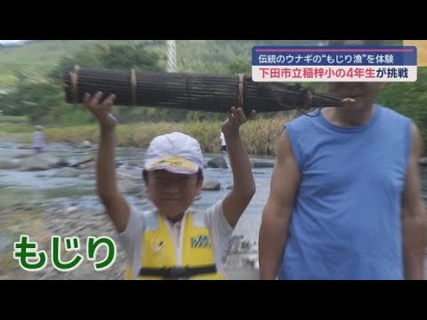 YouTube Video 小学生が伝統漁法のウナギのもじり漁体験　静岡・下田市立稲梓小学校