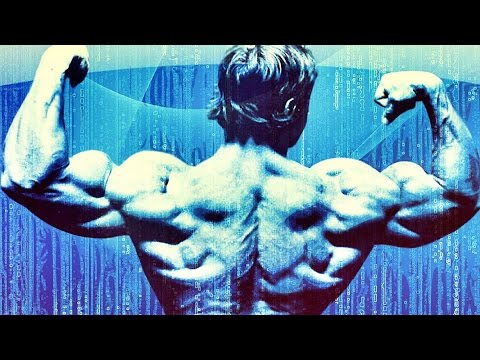 THE ART OF BODYBUILDING