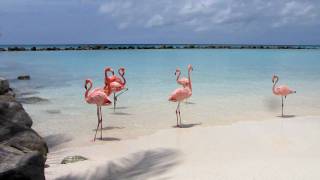 Aruba Renaissance Resort Private Island  (Watch in 720p)