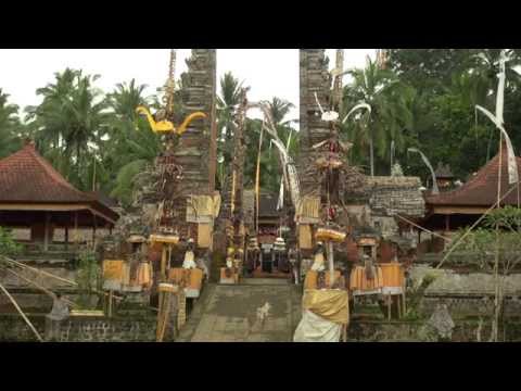 John Fawcett - Saving Sight