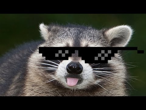 Neue Stream Settings testen bis max. 17:30 Uhr [Deutsch] - LIVE 18.08.2017