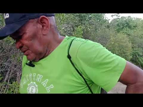 DETECTORISMO NO PORTAL DO EUCALIPTO MONSENHOR GIL PIAUI 