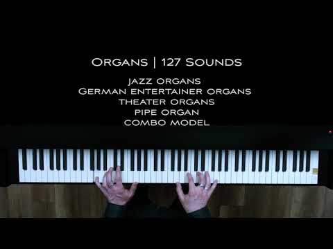 V3 Grand Piano XXL - Organ Sound 63 - 808700000fast