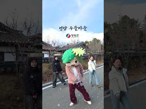 [영양군] 첫눈....챌린지 (상위버전)