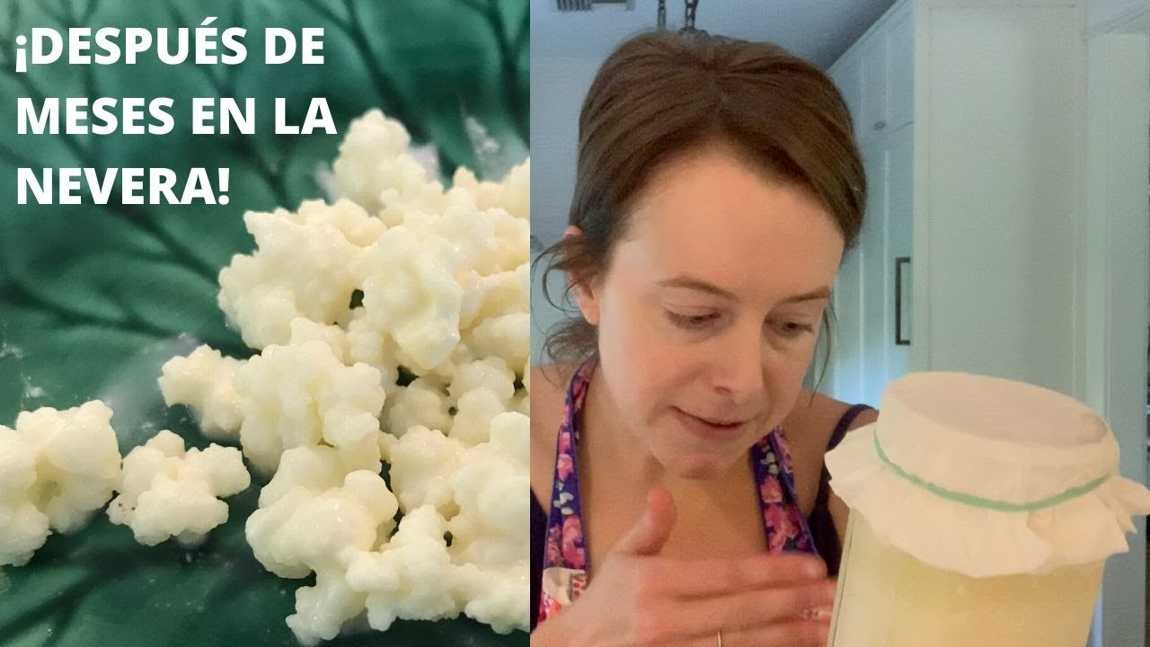 Recuperando los búlgaros (KEFIR DE LECHE)