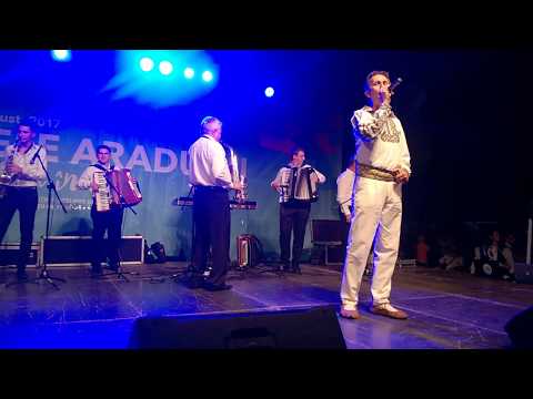 ZILELE ARADULUI 2017 MICALACA - DORU CIUPA - WP 20170819 22 05 05 Pro