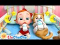 Kitty Cat Song EP186 My Cat Coco Animal Song Nursery Rhymes Kids Songs LiaChaCha