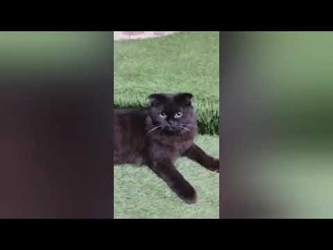 Sabar Dena Aatish Mar Raja