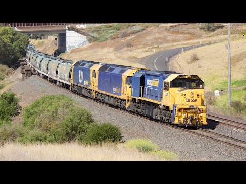 7731V Lovely Banks 07/04/2024