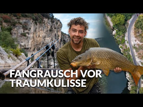 Fangrausch vor Traumkulisse | Karpfenangeln am Fluss in Südfrankreich | P.R. Baits | Boilie