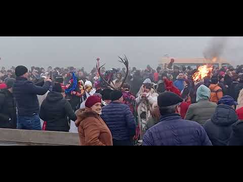 Tradiții Slătioara jud Suceava 🤩🐻