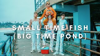 Cover art for Small Time Fish (Big Time Pond)