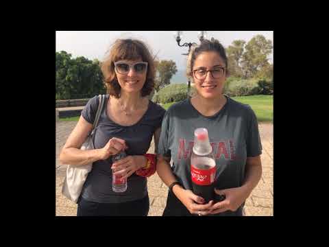 Jaffa's Dynamics City   Weizmann Institute of Science