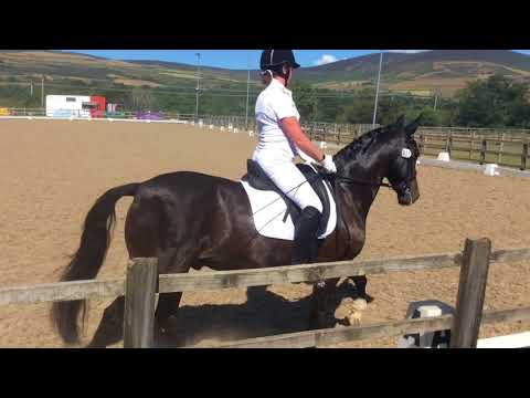 IOM Dressage Group part 2