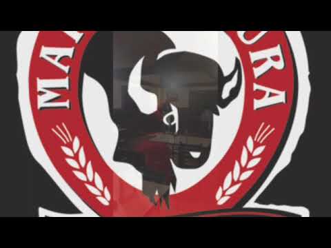 Promotional video thumbnail 1 for Marv Machura